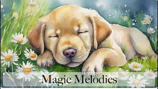 Magic Melodies for Little Dreamers - Garden of Eden