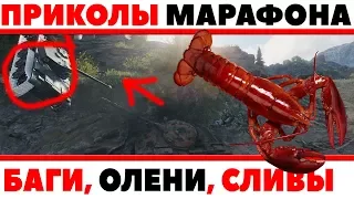 СМЕШНЫЕ ПРИКОЛЫ ИЗ МАРАФОНА 2018, БАГИ МАРАФОНА, ОЛЕНИ, ЧИТЫ WOT, РАКИ, СЛИВЫ, ЮМОР World of Tanks