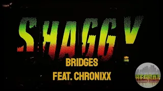 Shaggy feat. Chronixx - Bridges [lyric video]