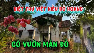 Biệt thự của việt kiều bỏ hoang lâu năm , có vườn mận đỏ