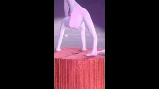 Chinese girls' gentle acrobatics