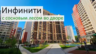 Инфинити с сосновым лесом во дворе / ЖК Новосибирска