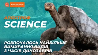 На межі вимирання: види тварини, що зникають в Україні | Апостроф SCIENCE