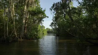 ROUGAROU - Legendary Beast of South Louisiana, History and Folklore