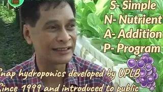 Snap hydroponics introduced by UPLB (Part 1) 🥬🍓🥒