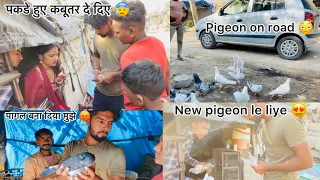 पकडे हुए कबूतर दे दिए 🐦🤑 !! Purchased new pigeon 🕊from road 🛖