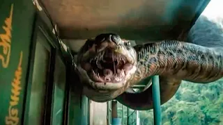 GIANT Snake Invades Boat With Tourists and Devours Anyone in Sight