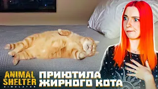 САМЫЙ ЖИРНЫЙ КОТ и ПРИЮТ для СОБАК ► Animal Shelter #2