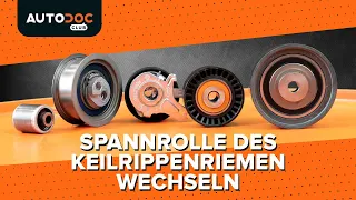 Wie man den Keilrippenriemen der Spannrolle wechselt [AUTODOC TUTORIAL]