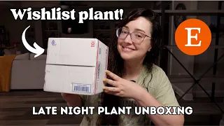 Late Night Wishlist Plant Unboxing! | Random Etsy Plant Shopping 🙈