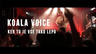 Koala Voice │ Ker tu je vse tako lepo LIVE @ Orto bar, 24.9.2021