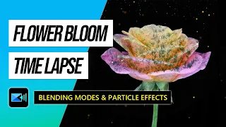 How to Use Blending Modes & Particle Effects with a Time-Lapse Video | PowerDirector Tutorial