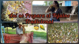 Así se Prepara el Tradicional Tejuino 😋 | Tejuino de Maíz Germinado 🌱🌽 #tejuino #Tesguino