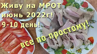 Живу на МРОТ июнь 2022г! 9 - 10 день! Наготовила! Теперь буду работать))))))