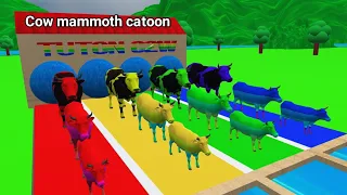 Cow mammoth catoon | colors cow | cow run and choose right fountain | catoon video , cow