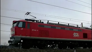 ﾚｯﾄﾞｻﾝﾀﾞｰEF510-3牽引高速貨物3097ﾚ　岡山→吹田→新潟