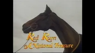 Red Rum A National Treasure