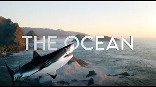 THE OCEAN