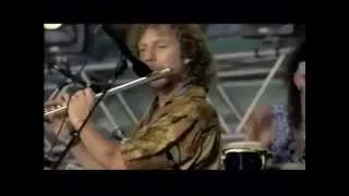 Traffic - Glad / Freedom Rider - 8/14/1994 - Woodstock 94 (Official)