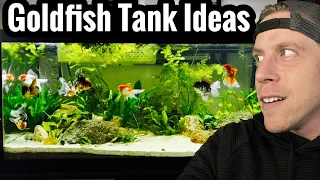 Cool Goldfish Tank Setup Ideas for Inspiration