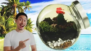 ВЕЧНЫЙ ТЕРРАРИУМ СВОИМИ РУКАМИ! How to Make A Terrarium