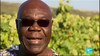 Manu Dibango : Longue Longue a son domicile le soir de sa mort (FALV #40)