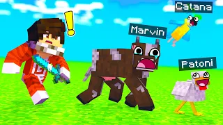 NOS ESCONDEMOS EN ANIMALES DE MINECRAFT 😂 | EL MEJOR ESCONDITE DE MINECRAFT SRGATO