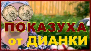 Навозная королева Диана строгая. Подписчики вы лохи?