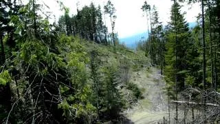 Bigfoot sighting area Sasquatch Country Mt Sicker Vancouver Island