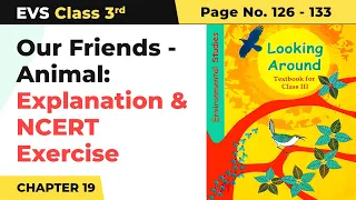 Class 3 EVS Chapter 19 | Our Friends - Animal: Explanation & NCERT Exercise (Pg No.126 -133)