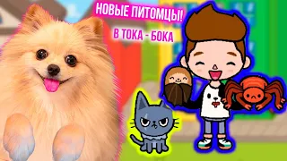 НОВЫЕ ПИТОМЦЫ В ТОКА БОКА ! ПОЯВИЛИСЬ НОВЫЕ ЖИВОТНЫЕ В TOCA WORLD