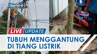 Petugas PLN di Karimun Tewas Tersengat Listrik saat Lakukan Perbaikan, Kondisinya Mengenaskan