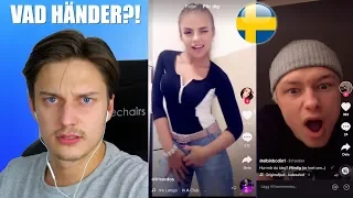 REAGERAR PÅ SVENSKA TIK TOK! 🇸🇪