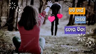 Nai Karidebu Re Mana(Prakash Jal) New Best Romantic Sad Song Status Video