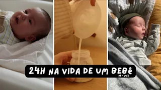 24 horas na vida de um bebê (de 1 mês) | Thalita Campedelli