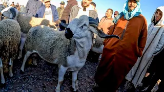 اليوم من سوق جمعة گيسر اقليم سطات مع ثمن حولي عيد الأضحى بتاريخ 17/05/2024