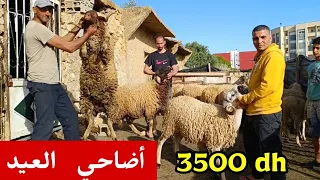 أضاحي العيد‼️🥇بمكناس🇲🇦 عند كريم 0631515817 أو 0631732449 📞💯‼️