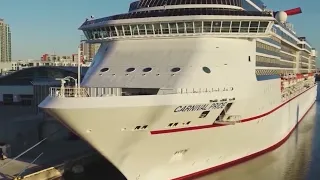 Cruise returns to Florida port after passengers test positive for COVID-19