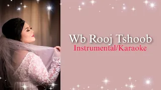 Wb Rooj Tshoob (Instrumental/Karaoke) - Macy Hawj