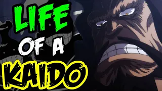 The Life & Times of Kaido - One Piece Discussion | Tekking101