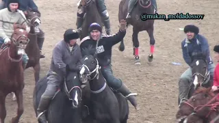 Кулшыгаш Бауыржан мырзанын Каскыр каска тулпарымен алги Досжан палуан