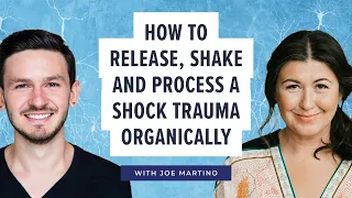 How to release, shake and process a shock trauma organically