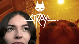 Проходження Stray | КАНАЛІЗАЦІЯ #4