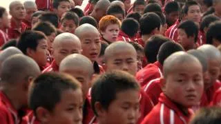 THE SHAOLIN KID - Official Trailer by Empty Mind Films