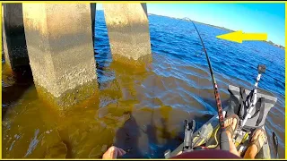 Fishing around bridge pilings with live shrimp!