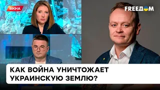 З яким урожаєм Україна увійде у зиму? Чи вистачить всіх продуктів | Дикун