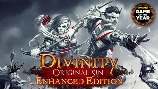 Divinity: Original Sin Enhanced Edition Part 2 - Full Gameplay Walkthrough Longplay No Commentary