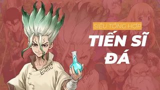 Siêu tổng hợp 3 mùa Dr. Stone