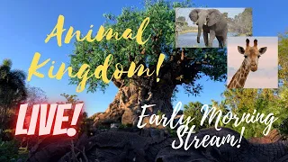 🔴LIVE: Disney’s Animal Kingdom | Disney World Livestream | 7/2/2023