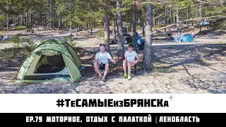 ЭПИЗОД 79. Нашли идеальное место для палатки на Ладожском озере | Ленобласть